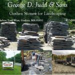 George D. Judd & Sons